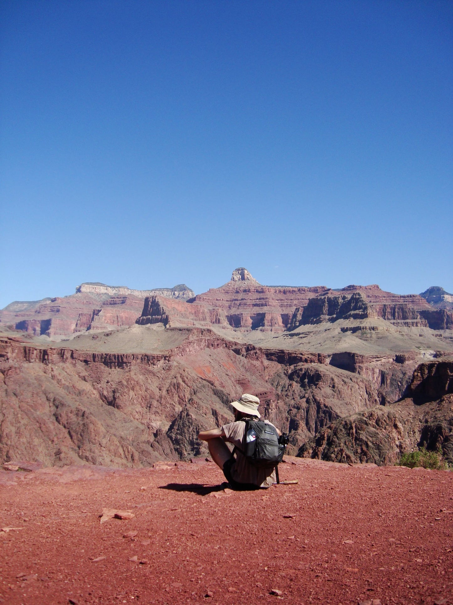 Meadowphysics / grasshopper