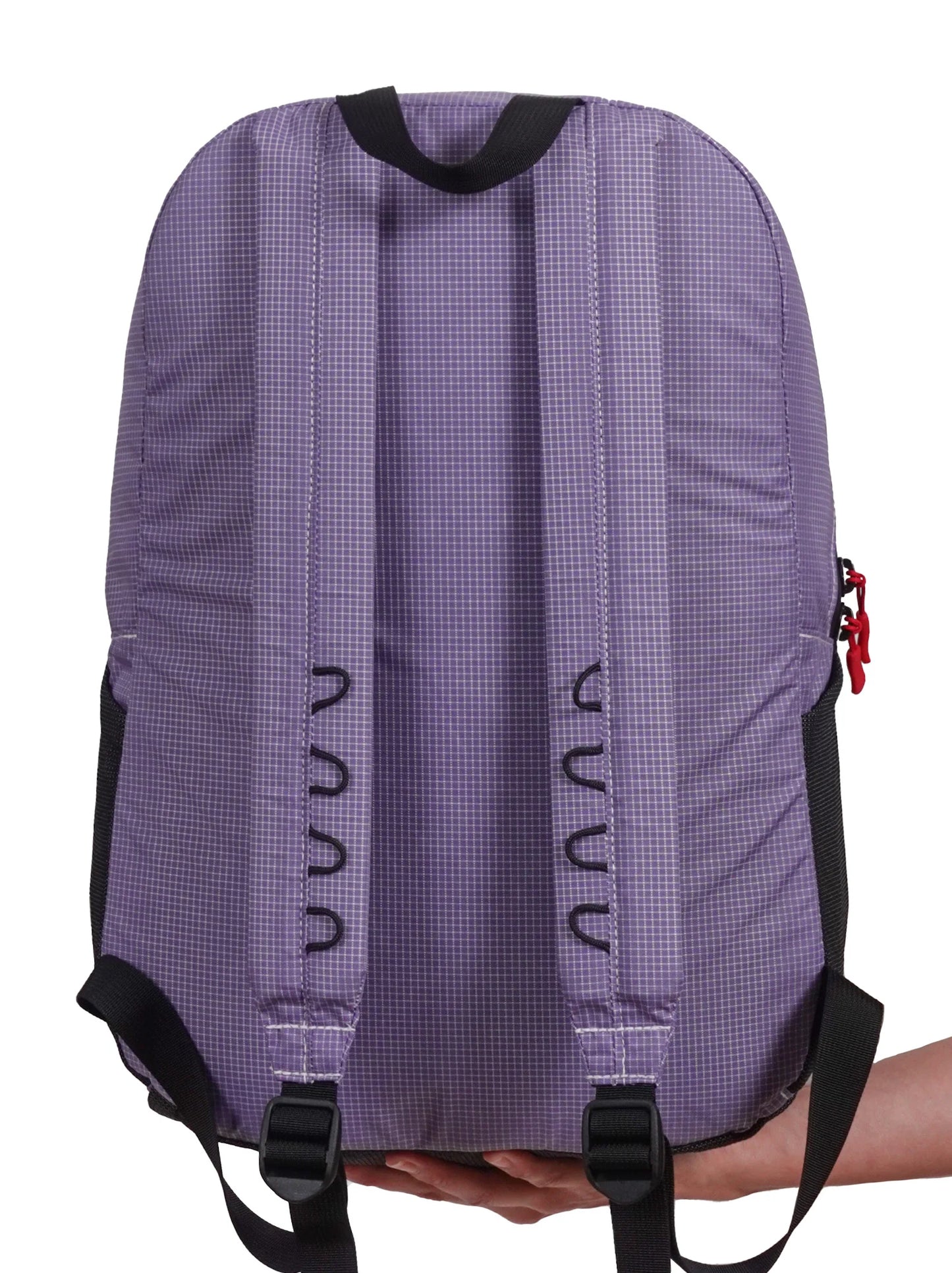 Meadowphysics / grasshopper