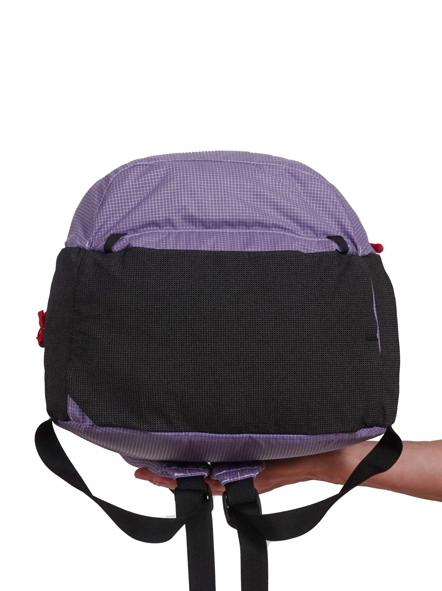 Meadowphysics / grasshopper