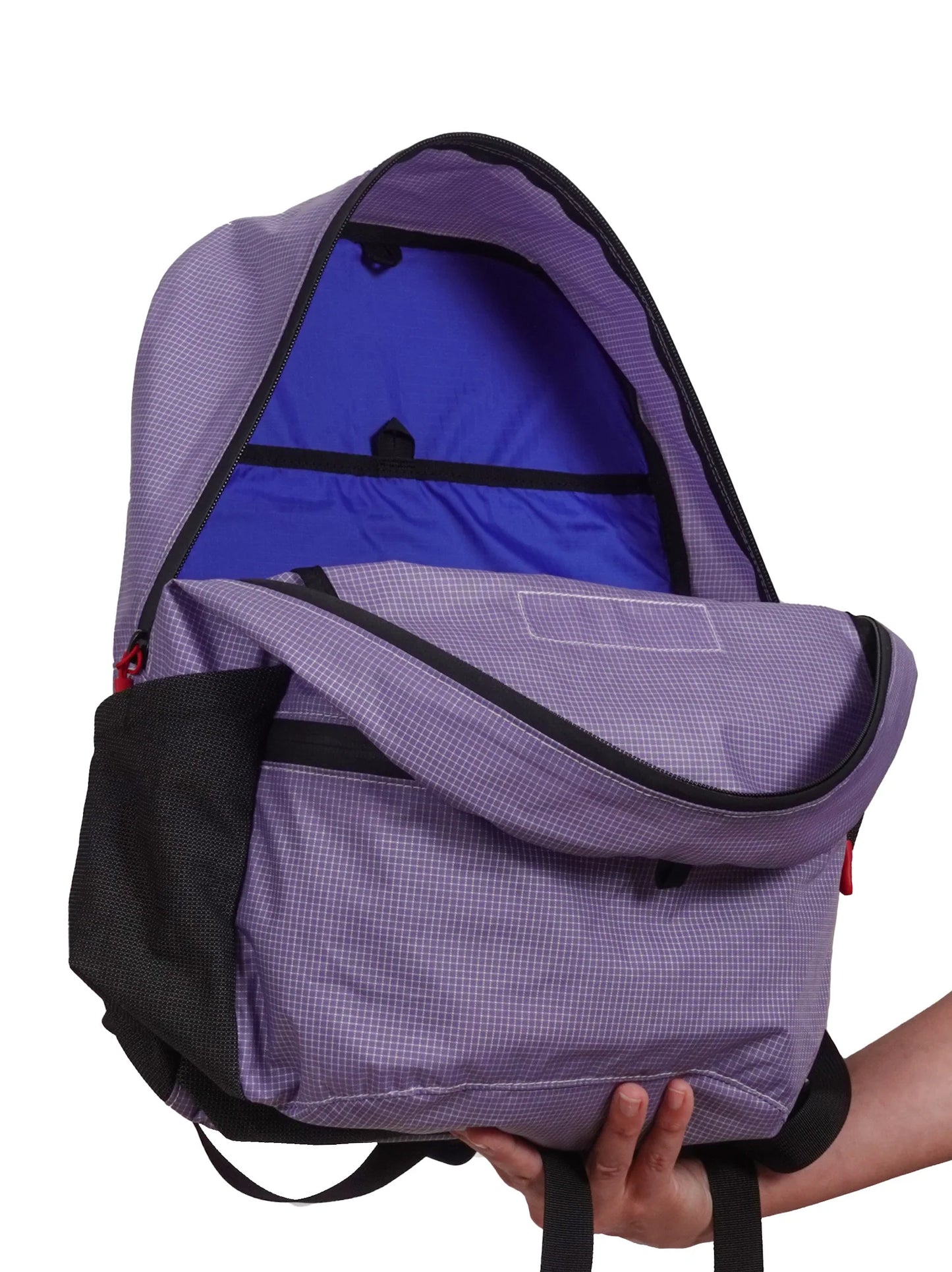 Meadowphysics / grasshopper