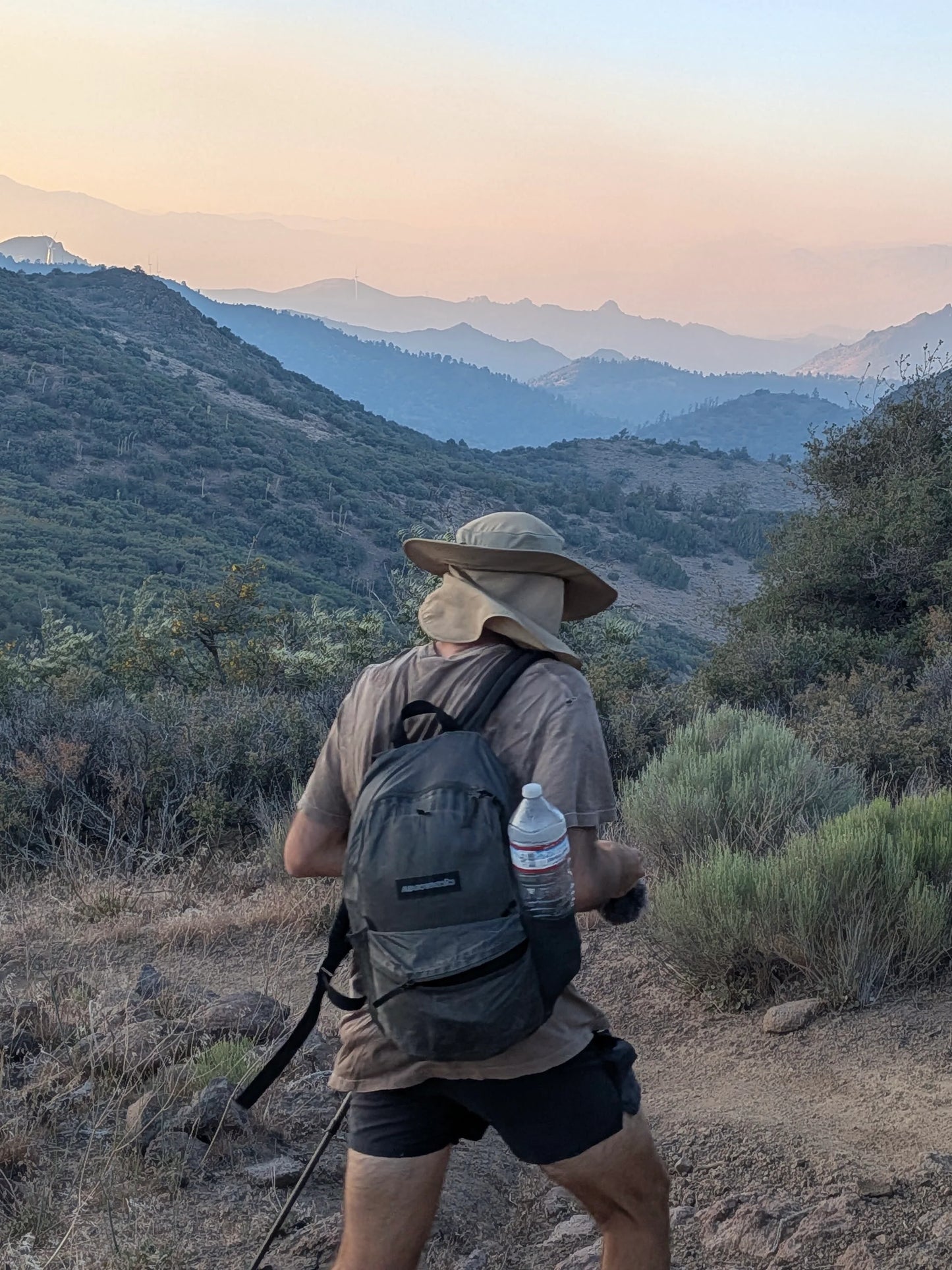 Meadowphysics / grasshopper